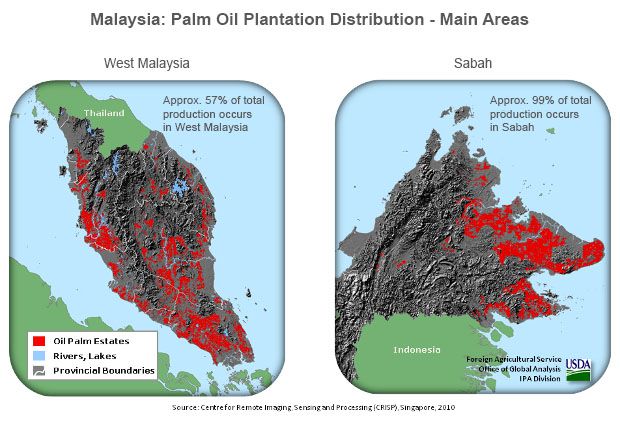 palm oil plantation distribution in Malaysia