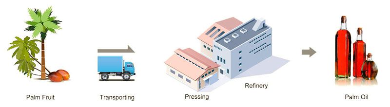 palm oil pressing and refining plant