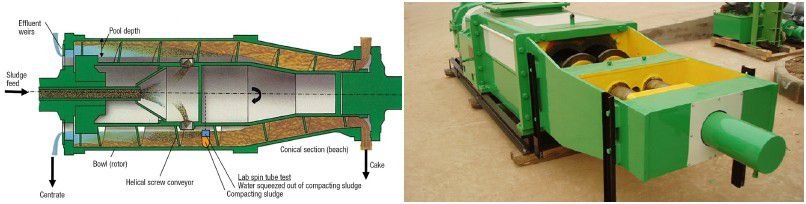 palm oil pressing machine