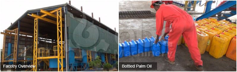 palm oil processing business plan