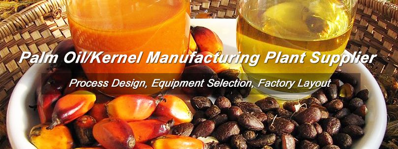 Palm Oil Processing Business Profits