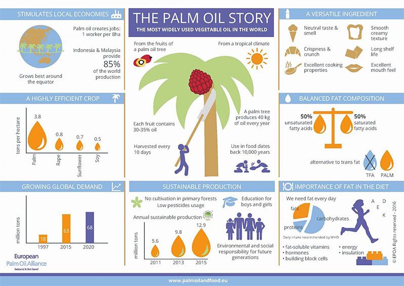 palm oil processing industry