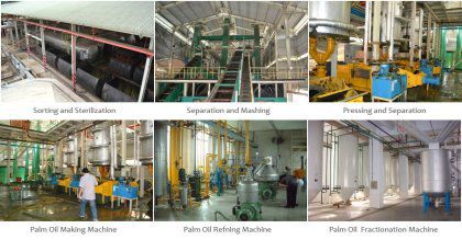 Palm Oil Processing Unit