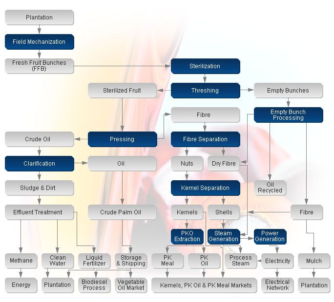 palm oil production plant process