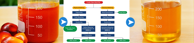 palm oil refining process