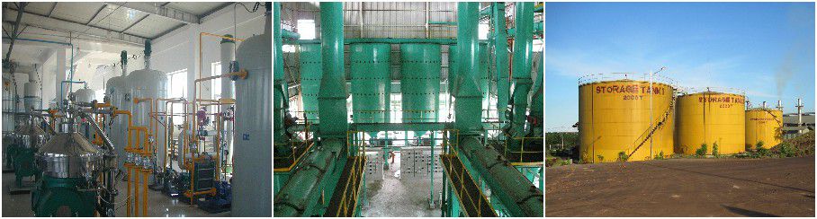 edible oil refining plant