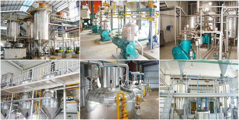 palm oil refining machines