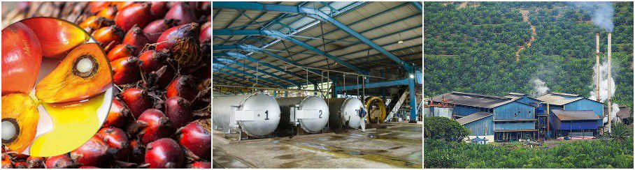 BEST palm oil solvent extraction plant 