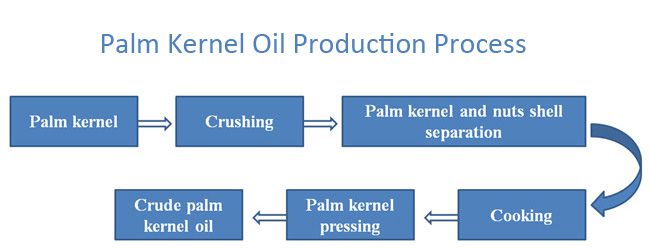 palm kernel oil production process