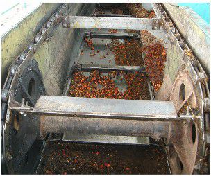 commercial palm oil press machine 