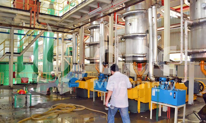 pressing section of palm oil processing mill