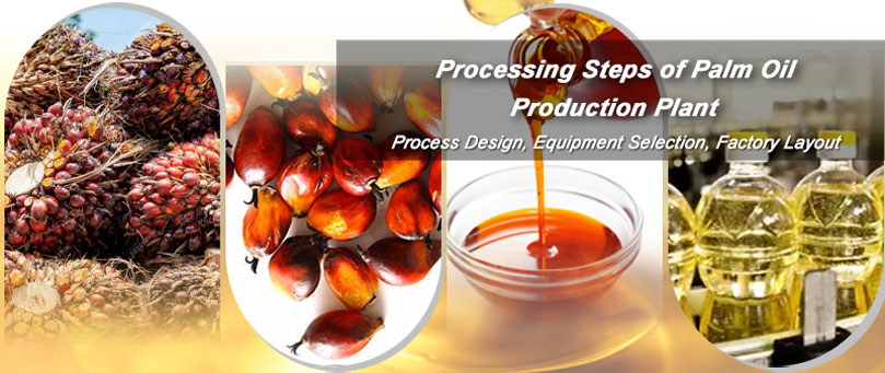 palm oil production business plan