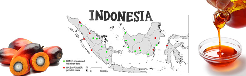 Indonesian Palm Oil Factory Construction Handbook: Zero to One Business