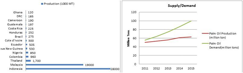 global palm oil rising trend