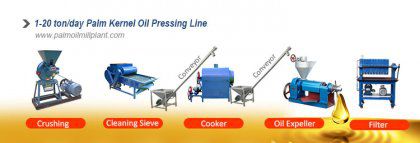 Palm Kernel Oil Extraction Machines - Key Factors of Production Business Plan