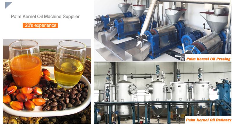 small scale palm kernel oil processing plant for sales