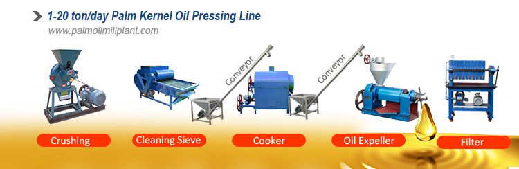 small palm kernel oil processing plant for sales