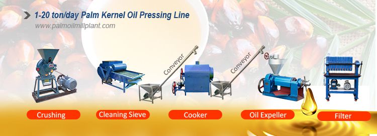 small palm kernel oil production line