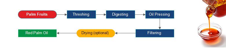 small palm oil milling process design