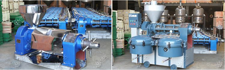 oil pressing machine for small scale palm kernel oil mill business