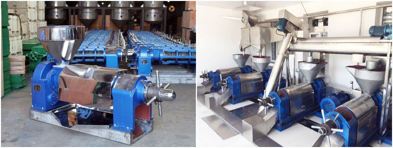 small scale mini palm kernel oil pressing plant production line