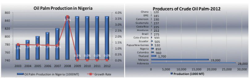 successful palm oil processing mill in Nigeria with low price 