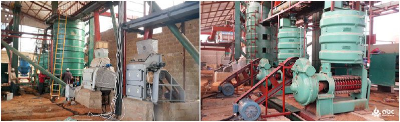 palm kernel processing plant turnkey projects