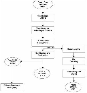 palm oil processing mill for producing high quality palm oil in Nigeria 