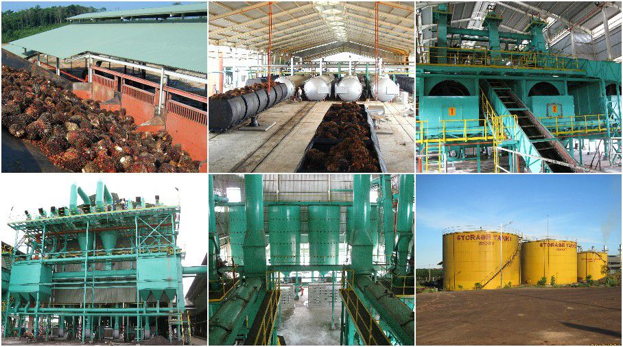 palm oil milling manufacturer and company in China 