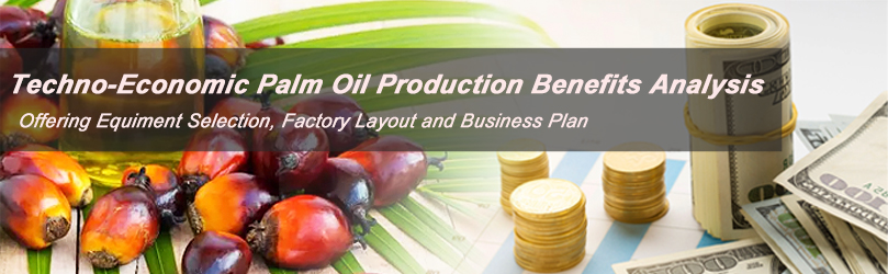 techno-economic palm oil production business benefits analysis