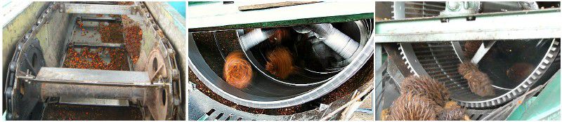 threshing process of palm oil mill