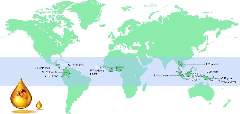 Honduras-Top10 palm oil production country