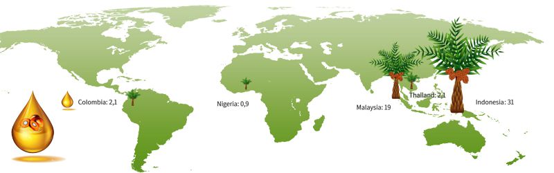 palm oil production in the main countries